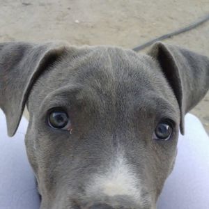 Meet your Posher, Daniela